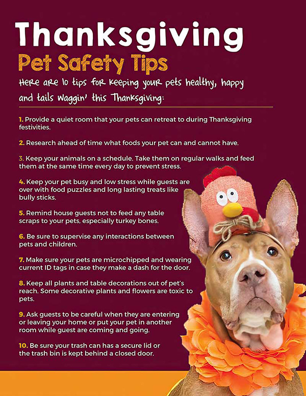 10 Thanksgiving tips
