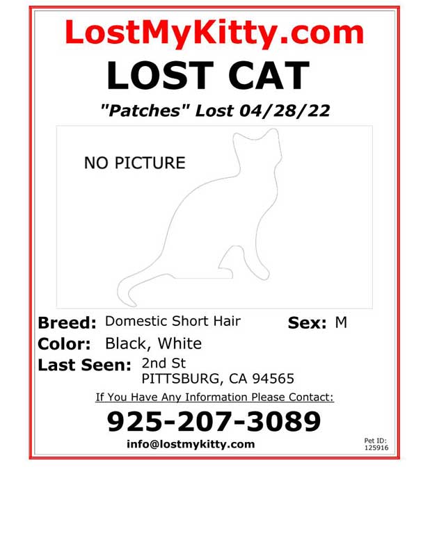 Lost-Cat-Patches